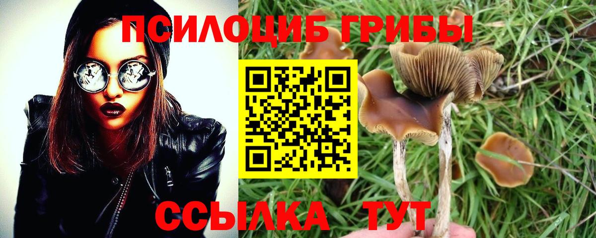 Псилоцибиновые грибы Psilocybine cubensis Гусь-Хрустальный