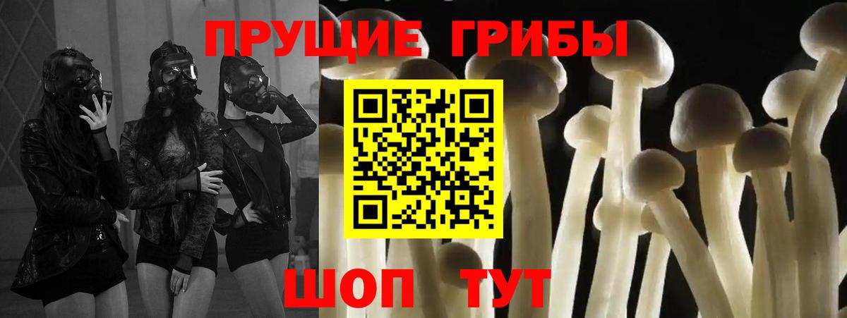 Псилоцибиновые грибы MAGIC MUSHROOMS  Вход с VPN  где купить   Гусь-Хрустальный 